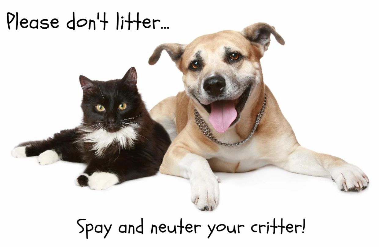 Cat and dog with message to spay and neuter pets.