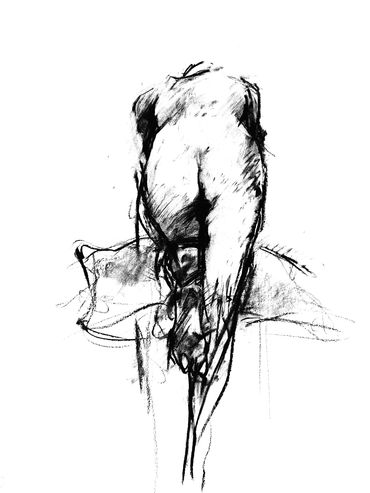 Figure drawing