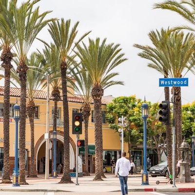 Westwood Travel Notary