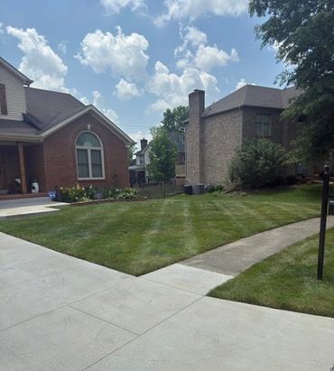 Manicured green lawn with clean mowing lines, serving homeowners in Lexington and Nicholasville.