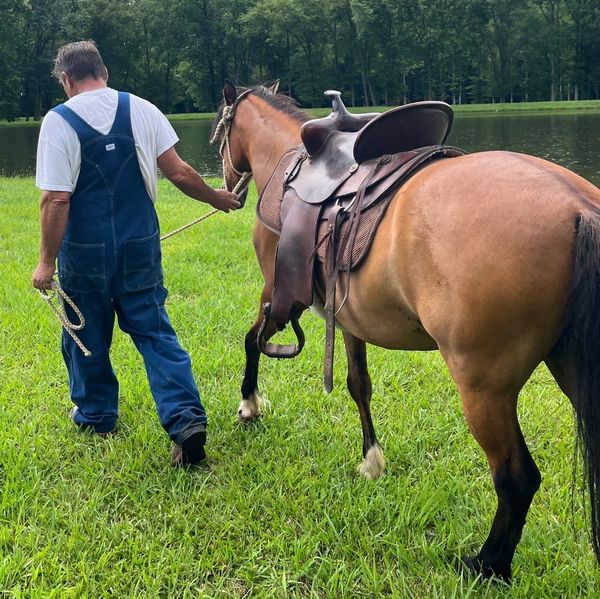 Man in overalls leads a saddled horse by a lake on green grass.