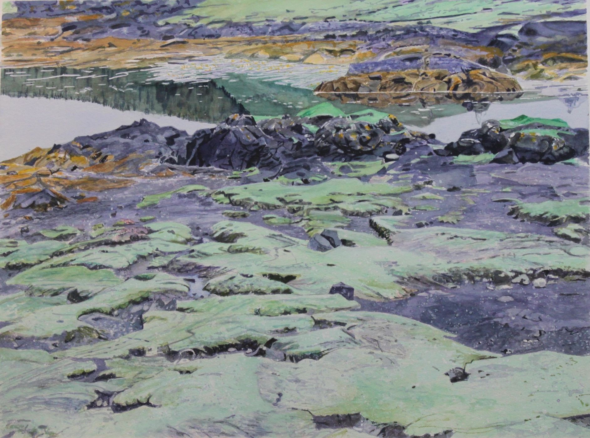 Dunvegan seaweed