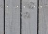 image24
