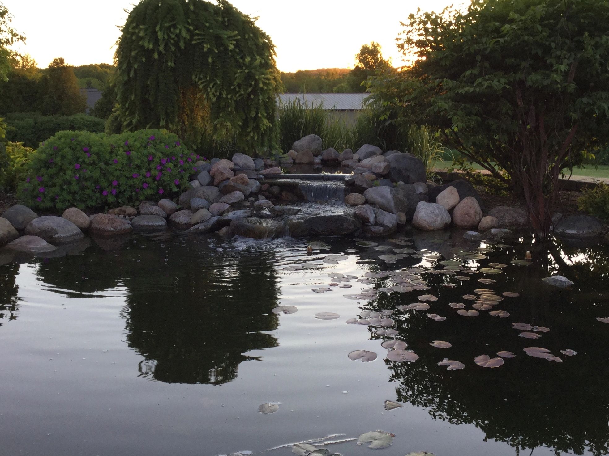 Garden Design and Christmas Trees - RESTORATIONGARDENS.COM