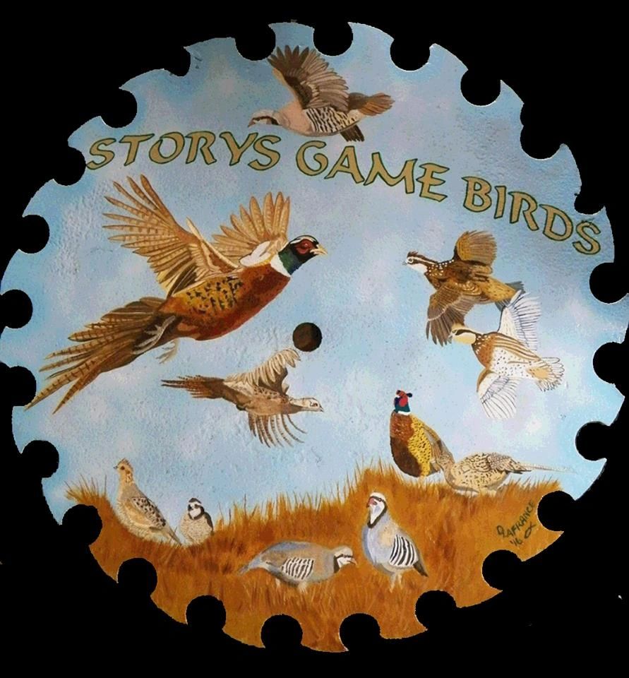 Storys Game Birds, LLC