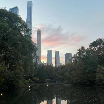 Sunset over Central Park