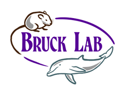 Bruck Lab
