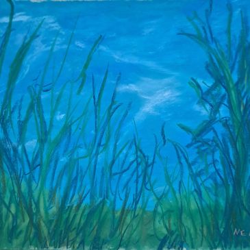 A view of the sky through grass......"contemplating life"   