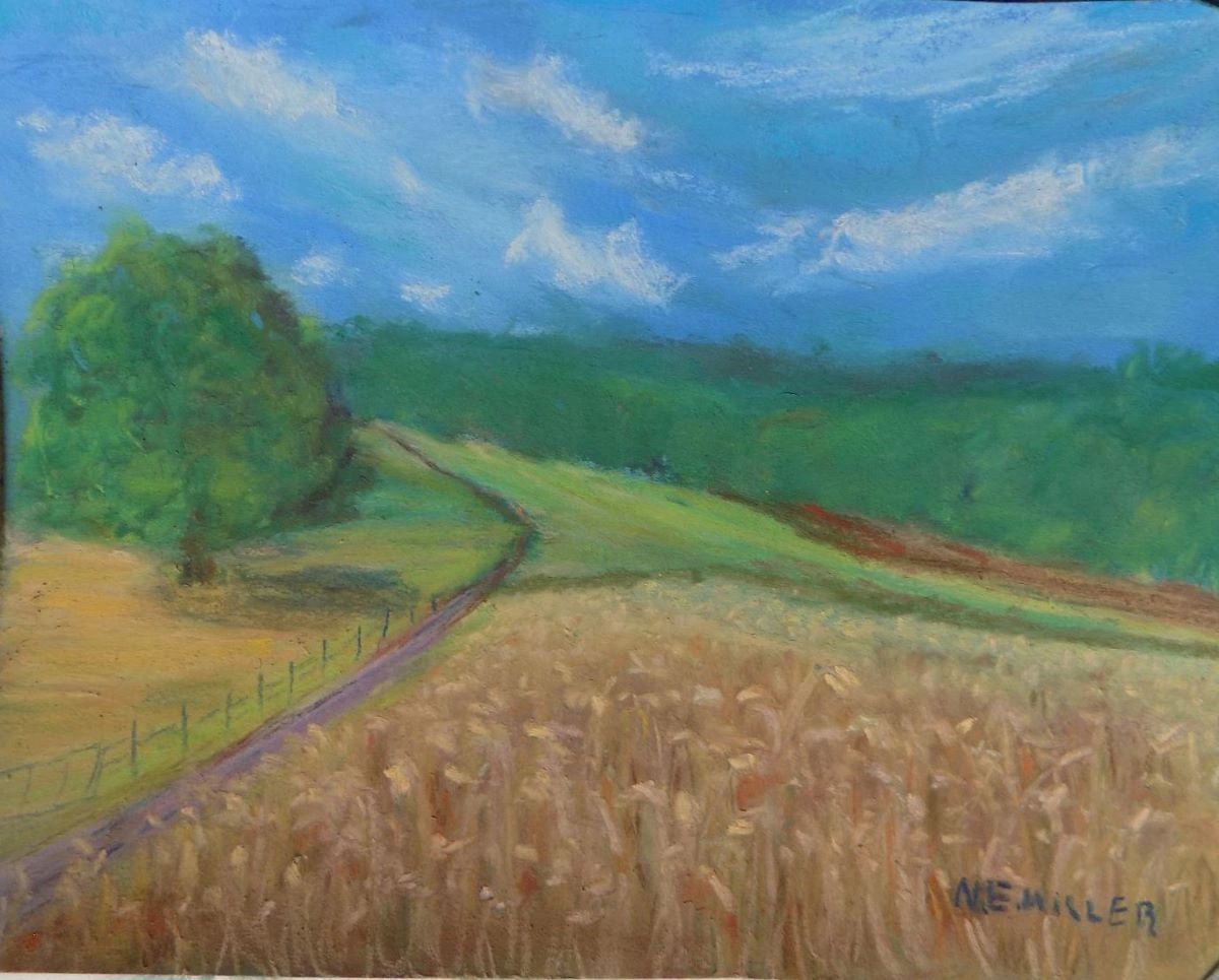 NoneSuch Farm, buckscounty farm, NancyeMillerbuckscounty artist, phillips mill artist