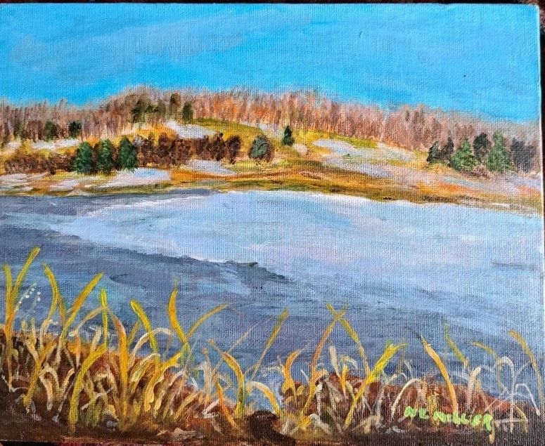 #LakeGalena#buckscounty#nancyemillerartist#nancyemillerbucscountyartist#phillipsmill