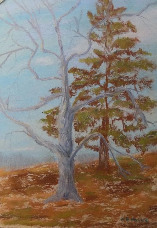 Pastel of beautiful trees,#The Tileworks MuseumDoylestown PA#NancyEMillerArtist#BucksCountyArtist