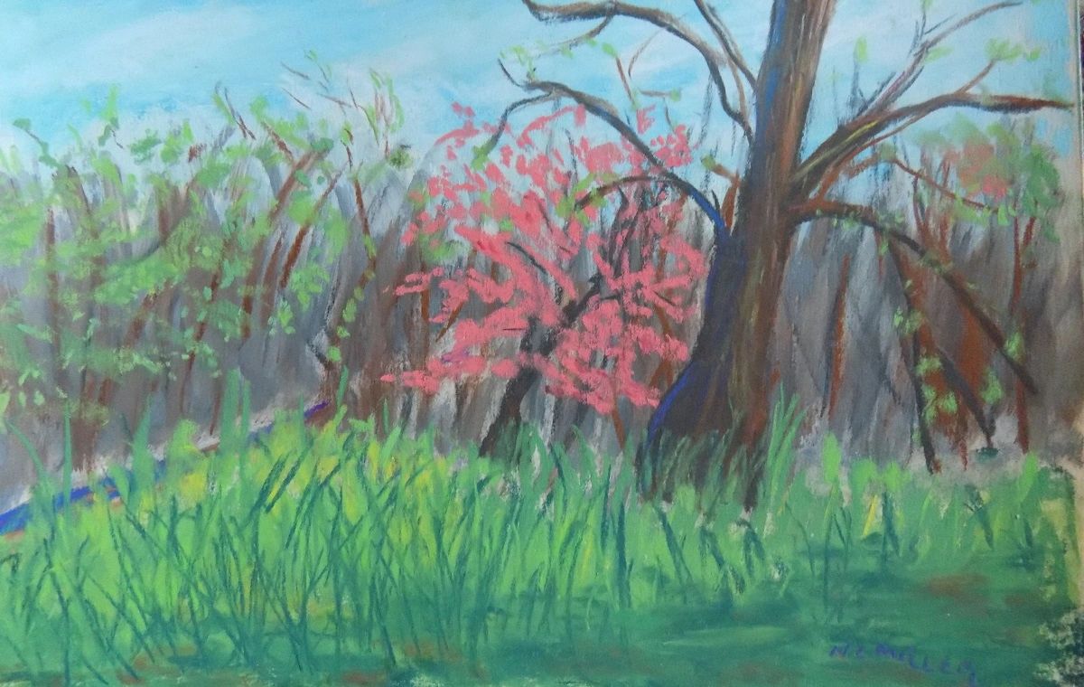 NancyeMillerPastelArtist#FonthiillMuseum,#buckscountycastles,#buckscountyartist#doylestownartist