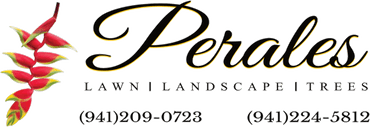Perales Lawn Service