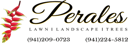 Perales Lawn Service