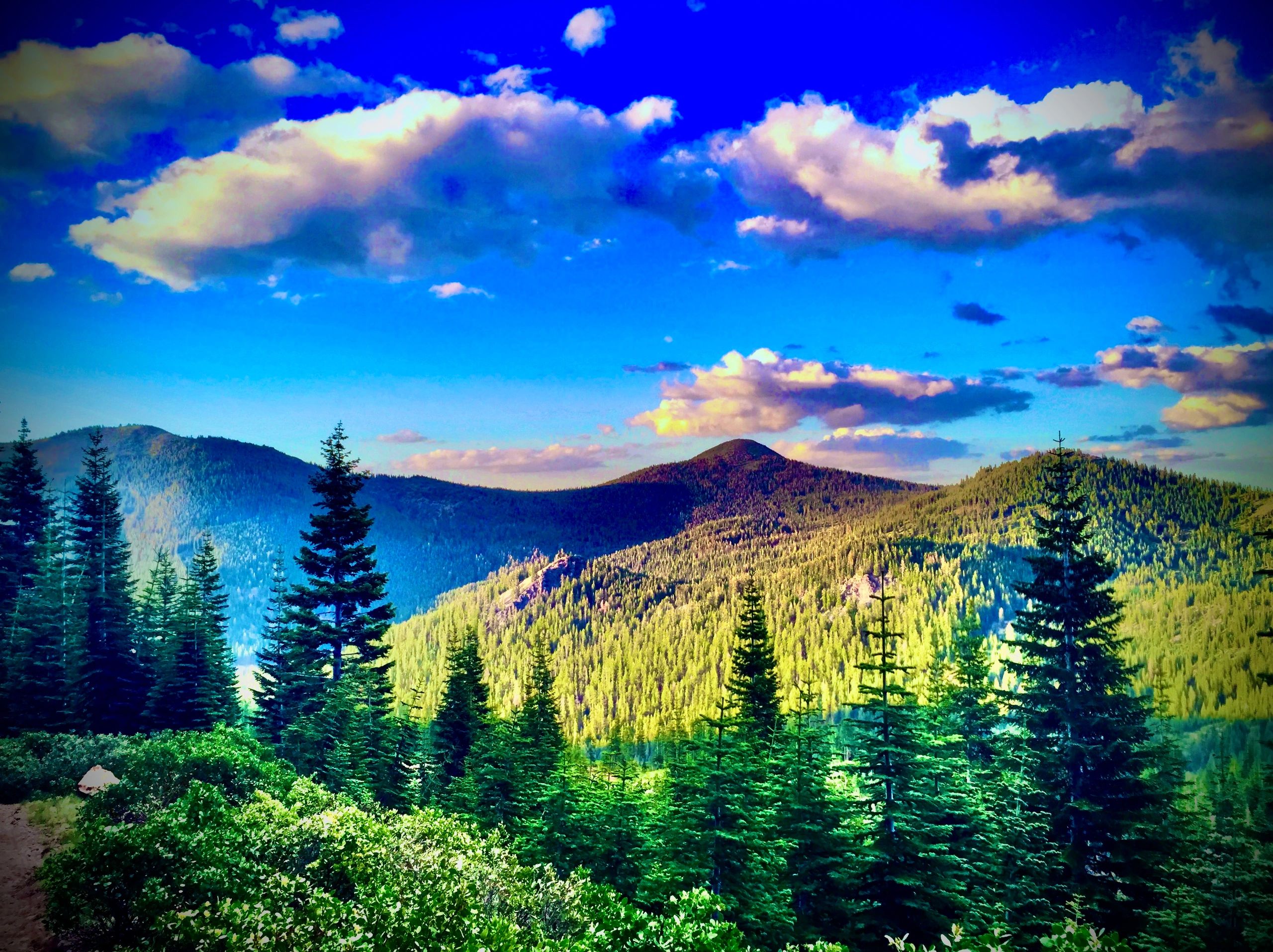 Cascade Property Management Group