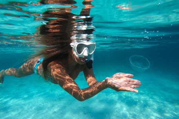 Snorkeler in Miami Florida