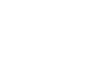 Steven Lewis Capital