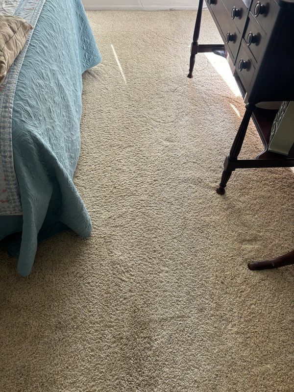 Carpet Cleaning