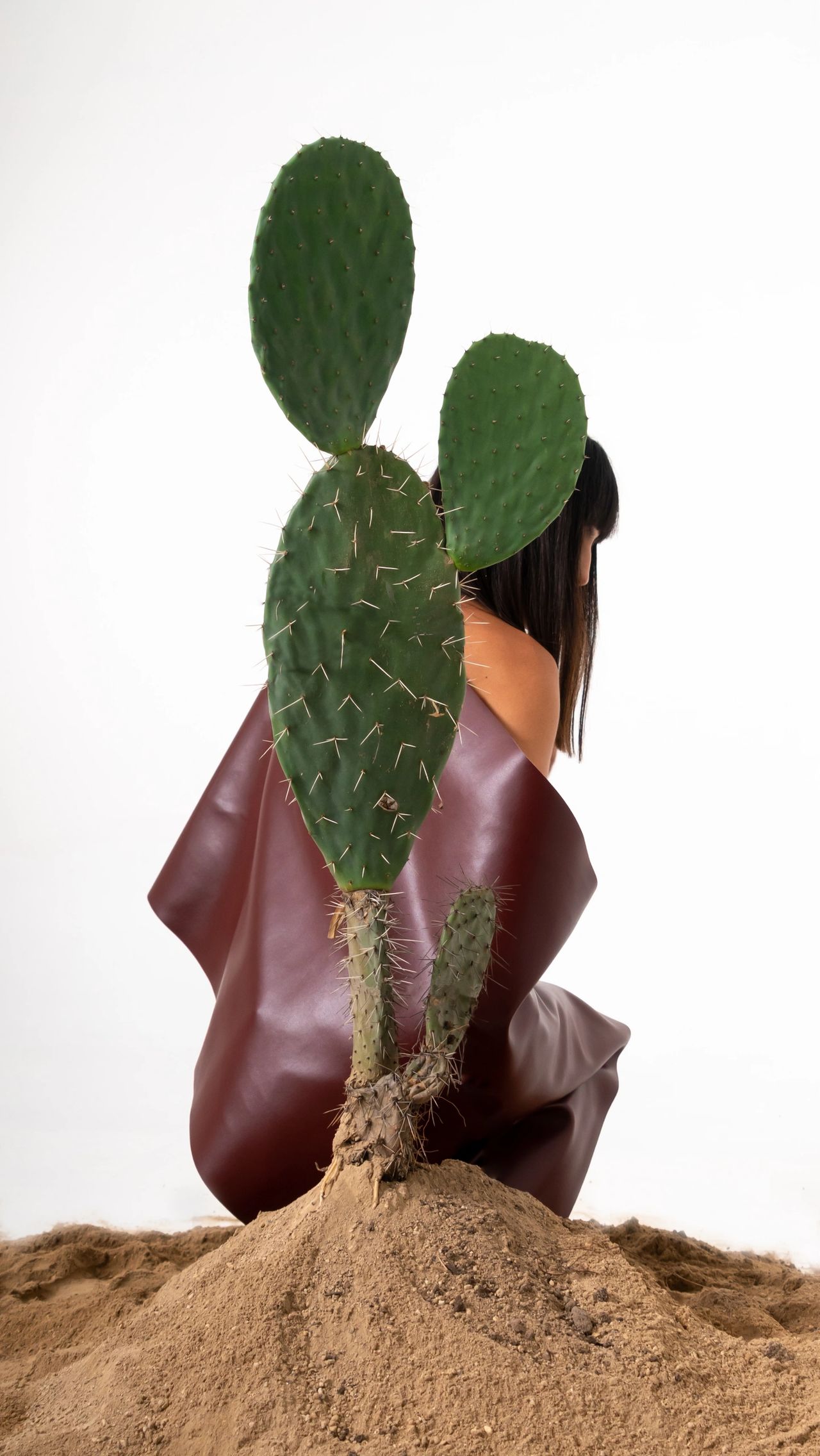 From the Desert to the Lab: Reinventing the Future of Materials