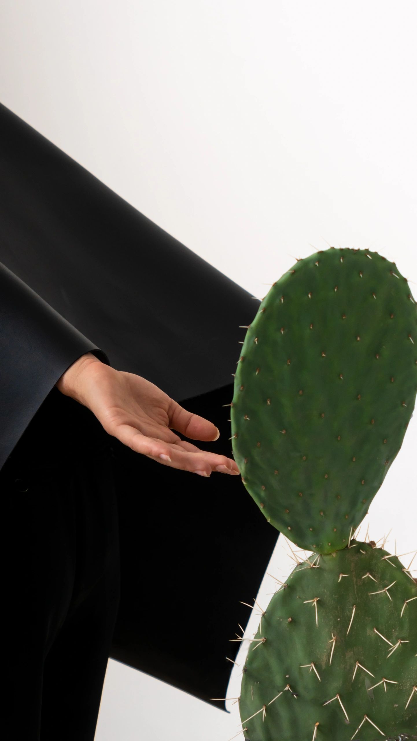 From the Desert to the Lab: Reinventing the Future of Materials