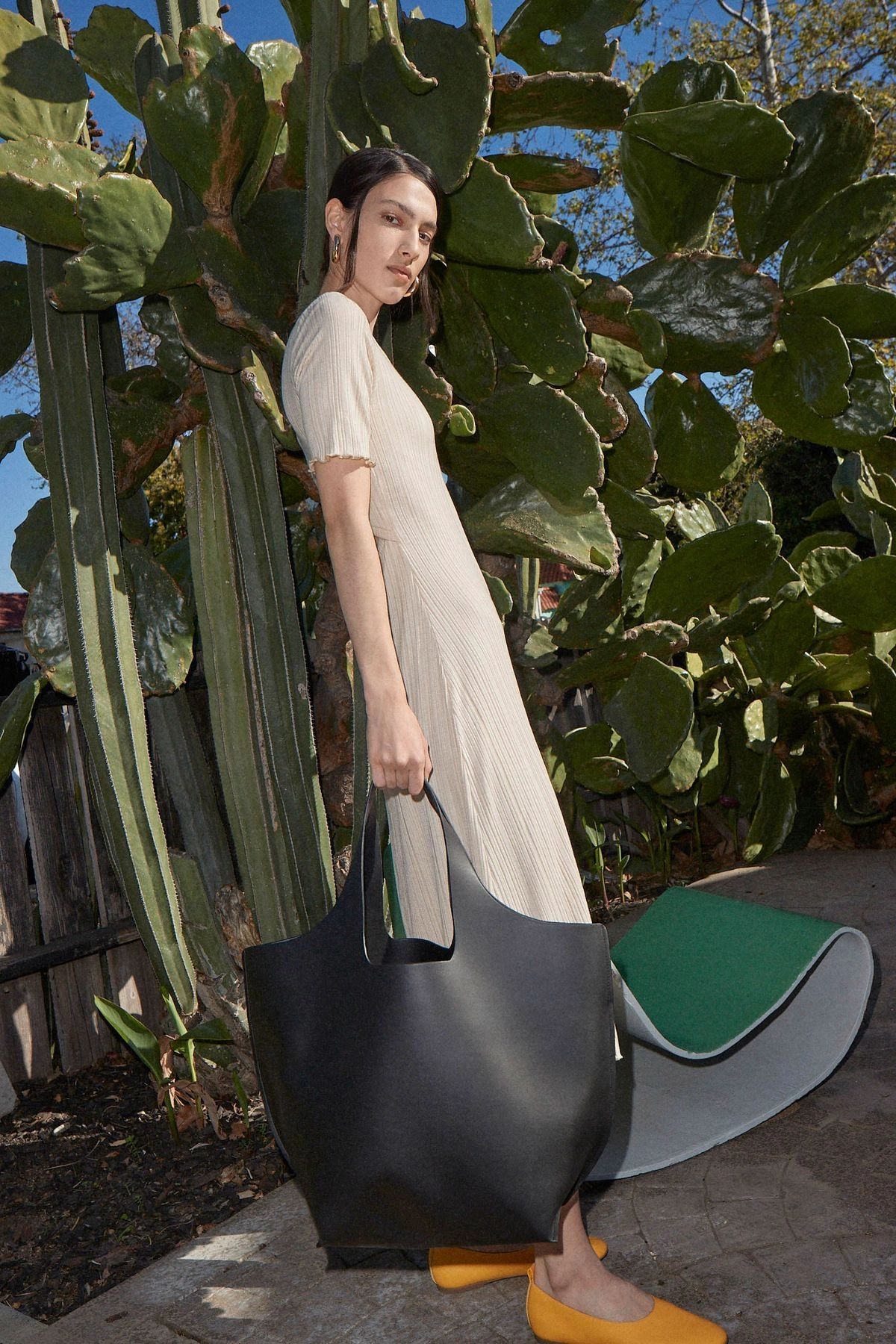 Desserto Is Making Cacti the Chicest Plants Around
