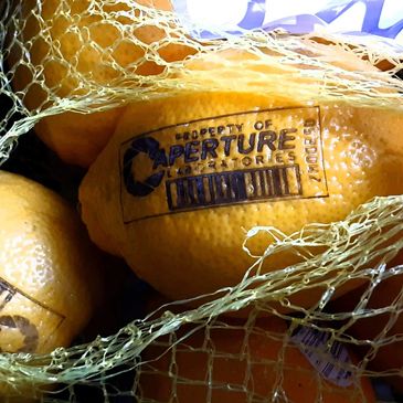A bag of lemons with "Property of Aperture Laboratories" laser engraved into one.