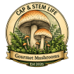 Cap and Stem Life