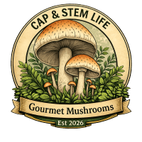 Cap and Stem Life