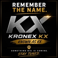 kronexkx.com