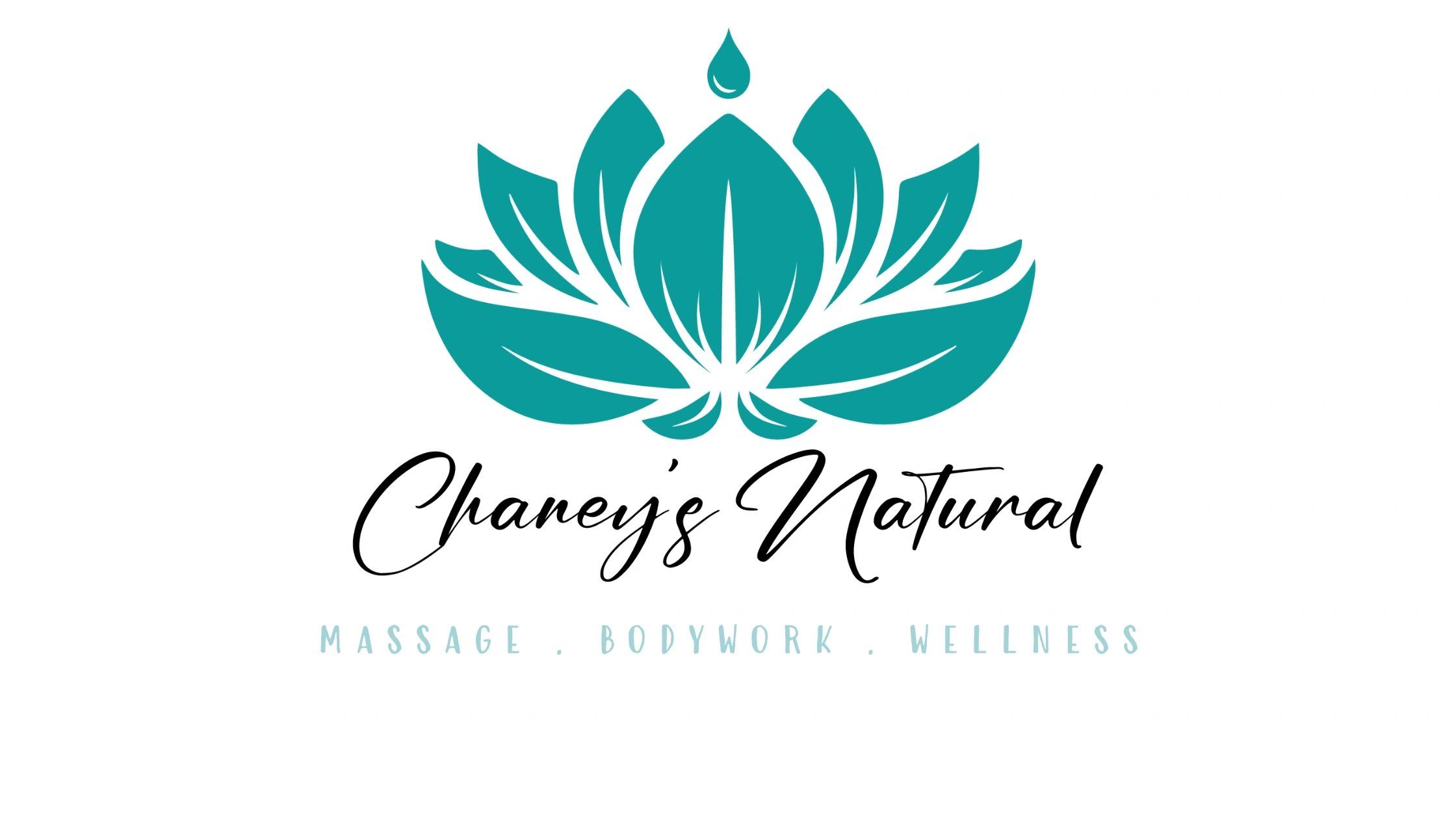 Massage Therapy and Bodywork Services
