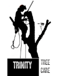 Trinity Tree Care
