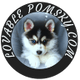 Lovable Pomsky