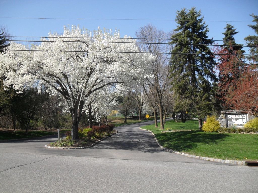 Spruce Hills Condominium Association