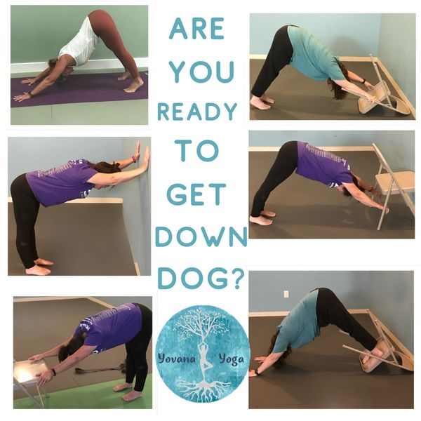 Yoga to strengthen bones
Yoga for back care
fix back pain
Yoga for seniors
Yoga for seniors Dalton
