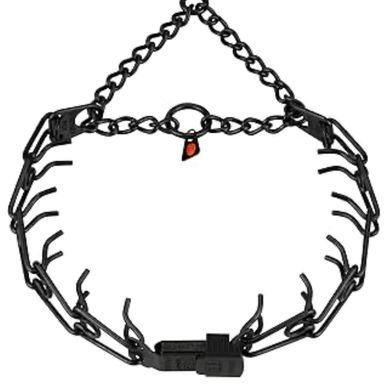 Black metal prong collar with a chain and lock.