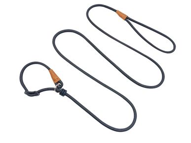 Black slip dog leash with leather accents on a white background.