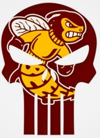 Brookville Bees 
Youth Football & Cheer