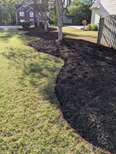 Picture of black soil