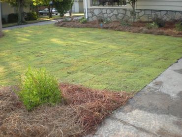 picture of beautiful garden and lawn area