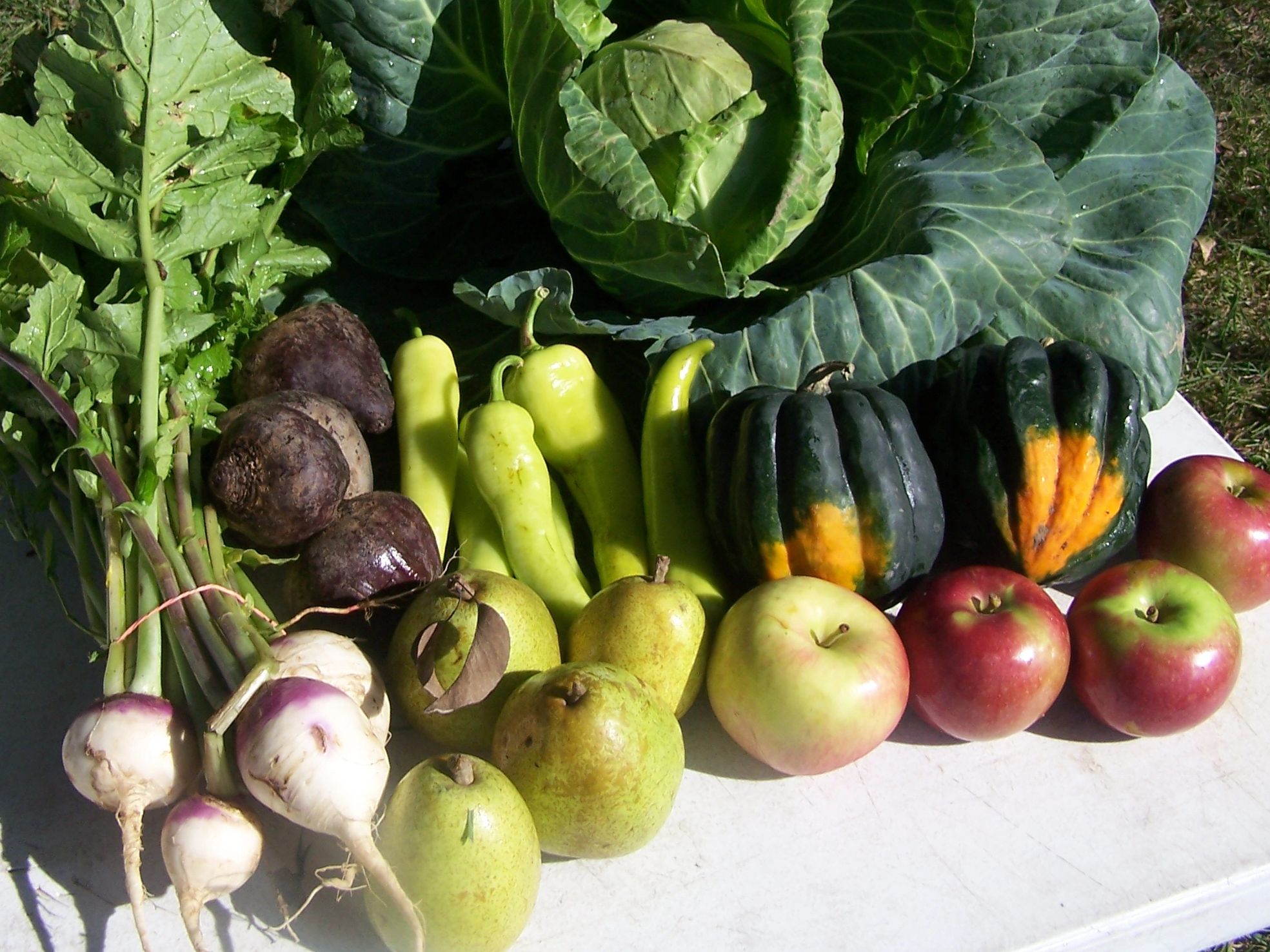 A variety of farm produce is laid out on a table outdoors as an example of a CSA package.