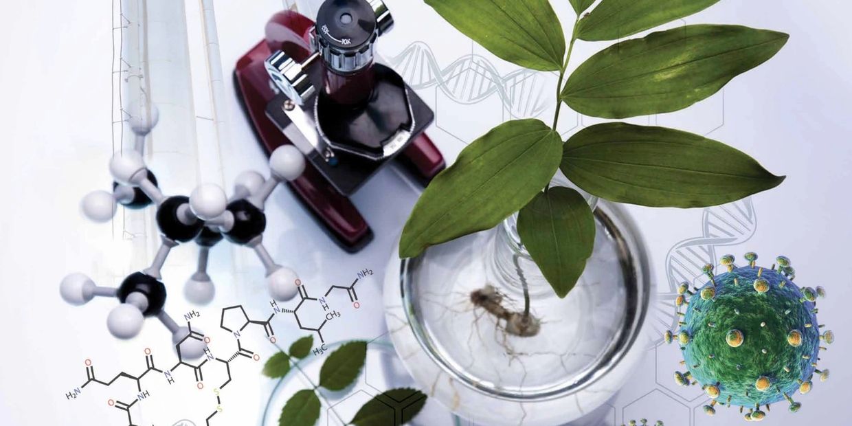 A small plant on the bowl with virus 
