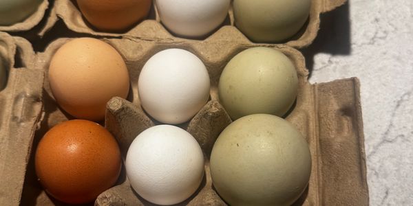 A carton with eggs of various colors: brown, white, and greenish.