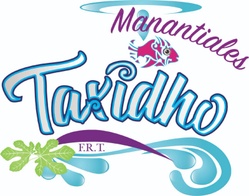 taxidho.com.mx