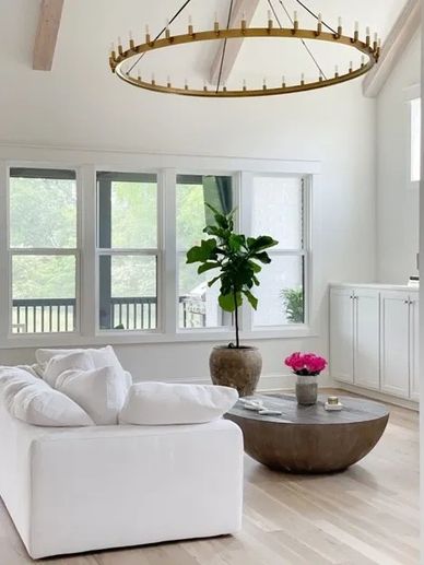 Cool white Living Room