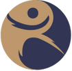 Mindful Taichi