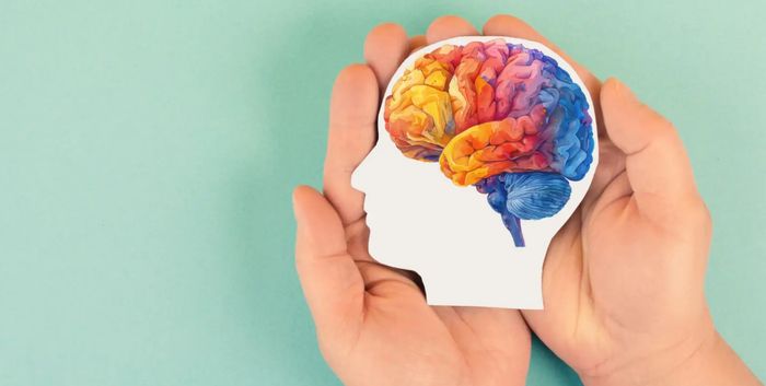 Hands holding a colorful brain illustration inside a head silhouette.
