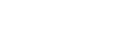 StarLight Insurance Group