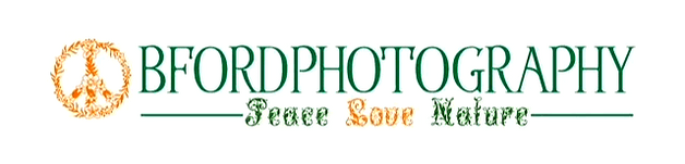 BFordPhotography