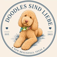 Doodles Are Love