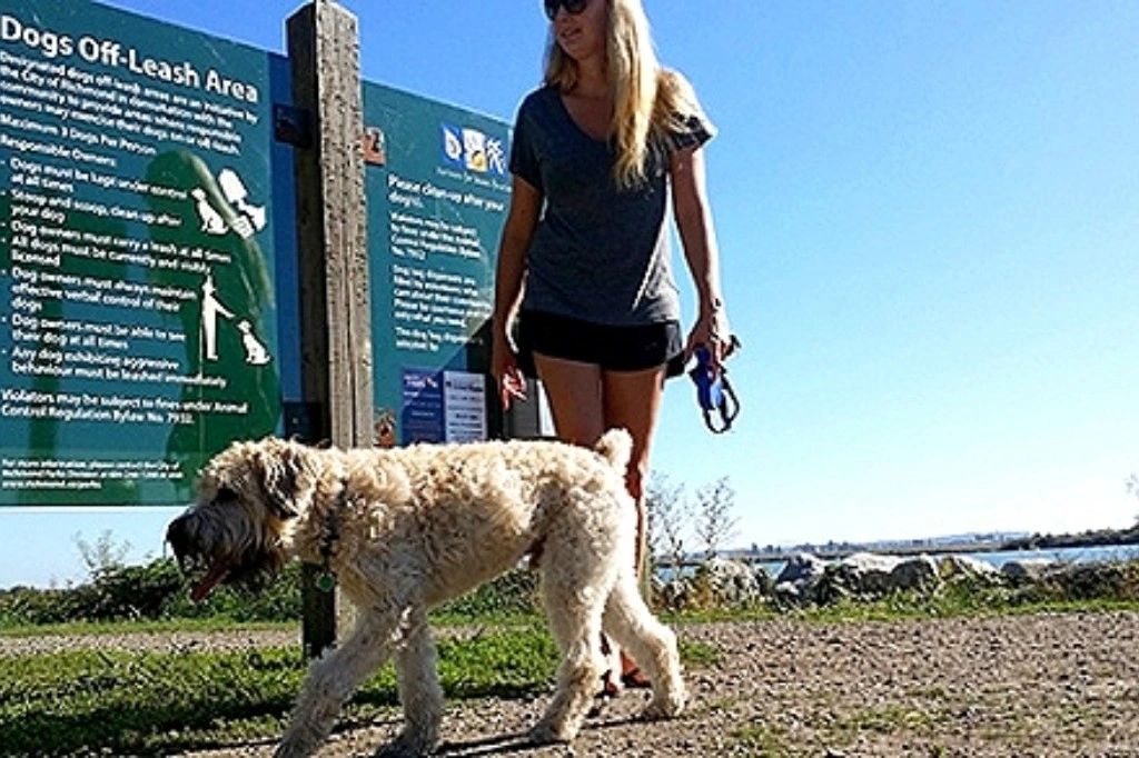 Woman with dog at dog park 